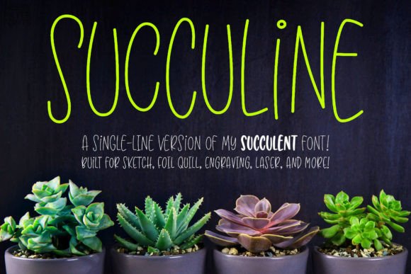 Succuline Single Line: A Versatile Font for Creative Projects
